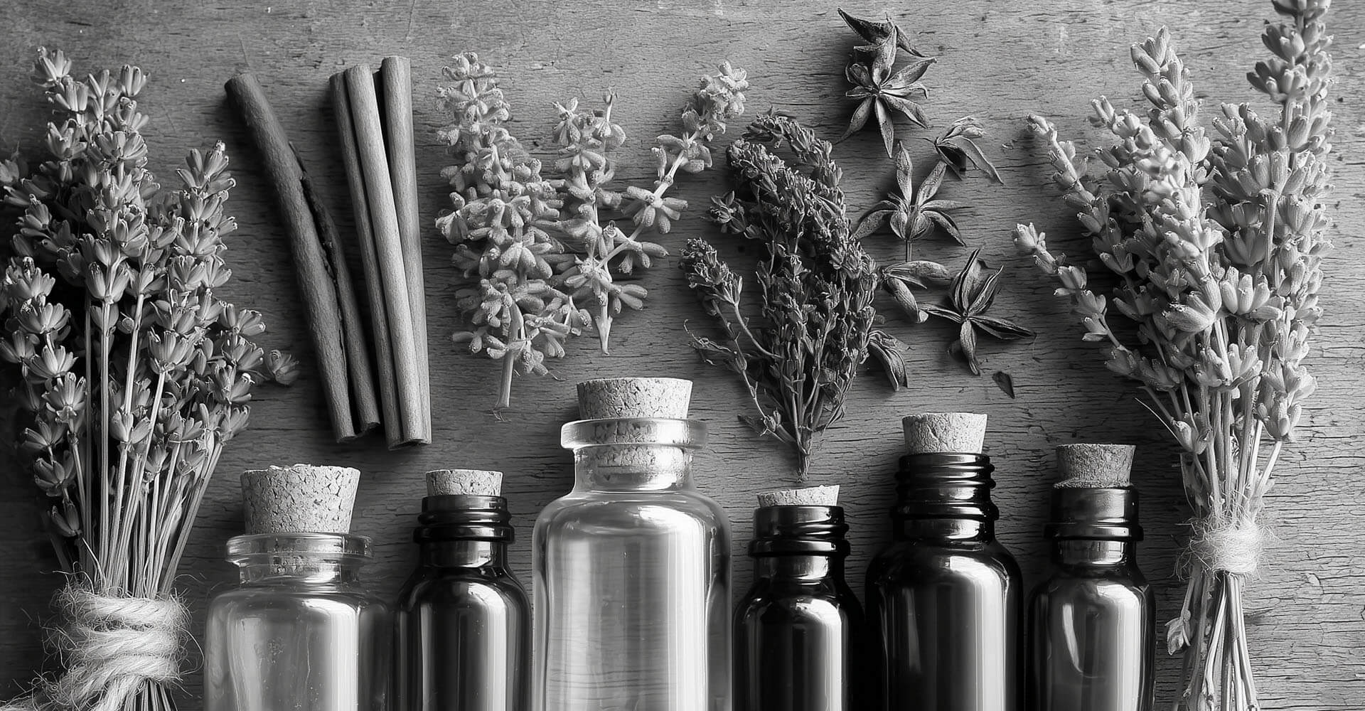 Essential Oils Hero